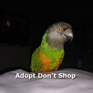 Meet your Posher, Connie